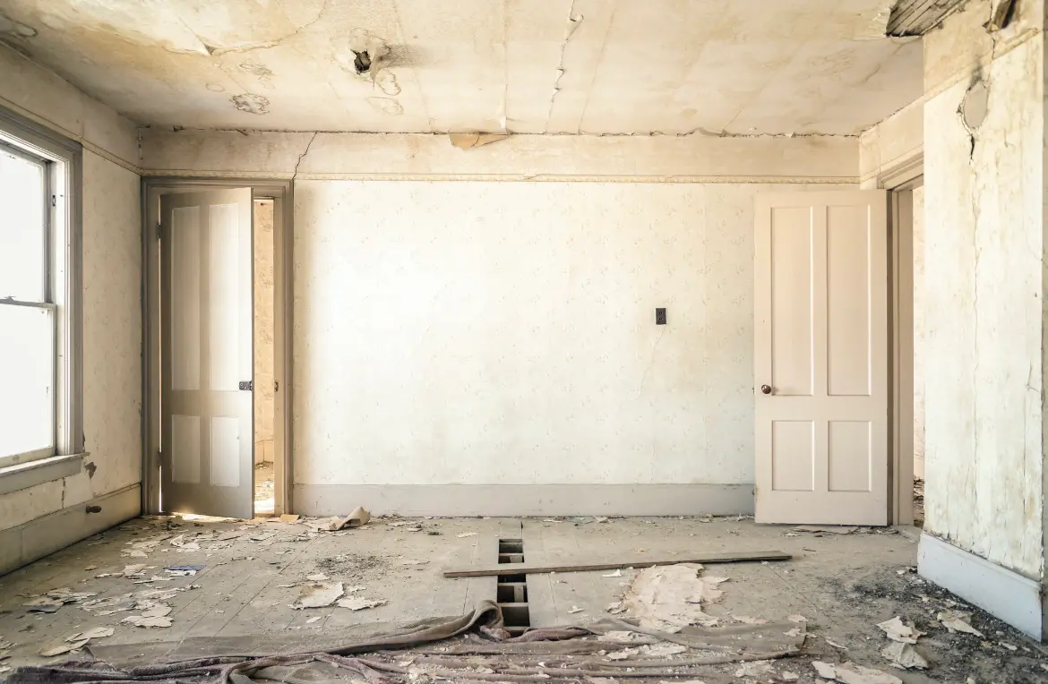 Waste disposal crew managing a cleanout project in Rochester